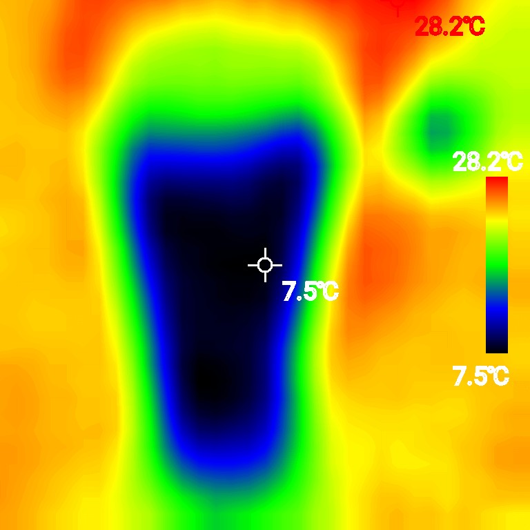 Thermal Image of a Smoothie